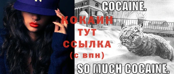 первитин Абаза